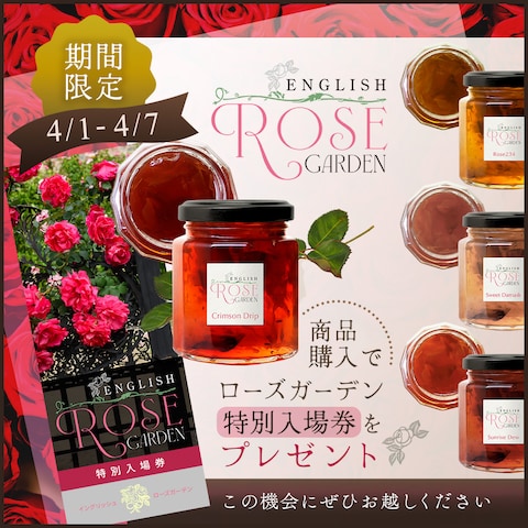 アドビクリエイティブカレッジバナー編講座ミニ課題3