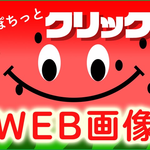 ココナラのWEB画像作成の出品画像　ver.すいか