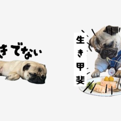 愛犬のLINEスタンプ作成
