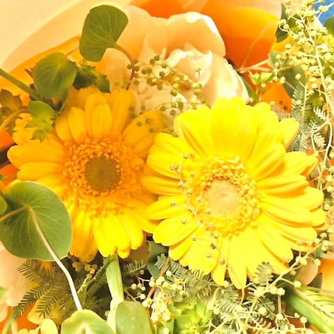 自然療法「花」ヒーリング