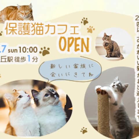 【自主制作】保護猫カフェオープン広告バナー