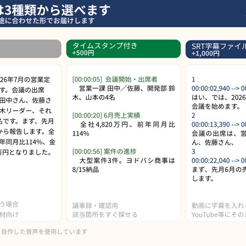 納品形式3種類の比較（テキスト・タイムスタンプ・SRT字幕）