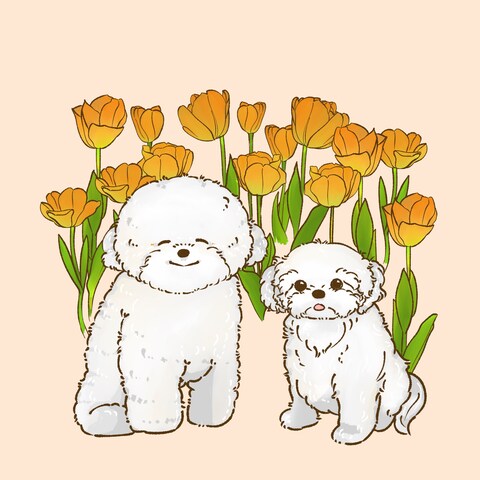 しろわんこ