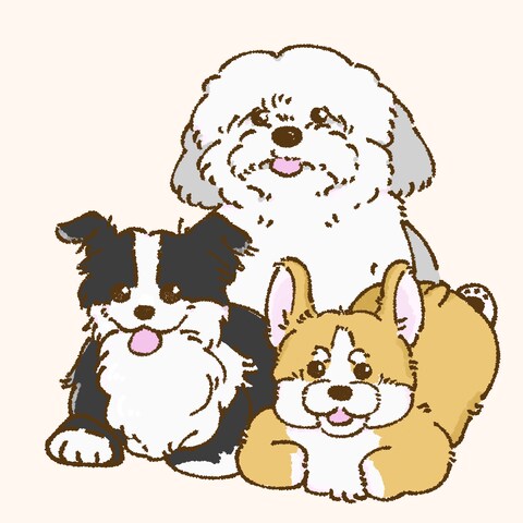 牧羊犬・牧畜犬のみなさま