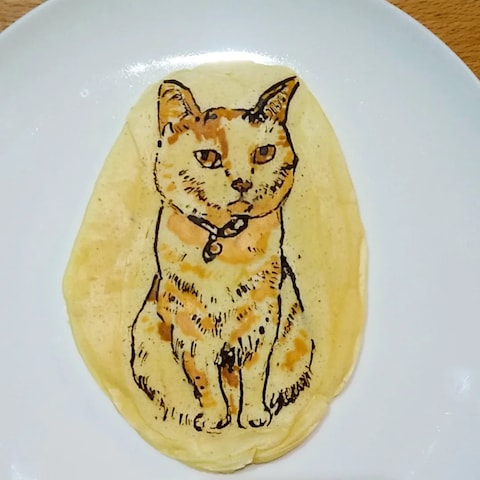 猫ちゃんパンケーキ【スマホ撮影】