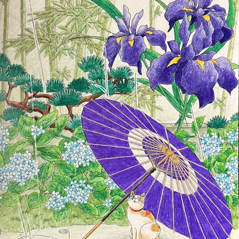 小雨振る竹林と紫陽花に番傘と猫。色鉛筆彩色