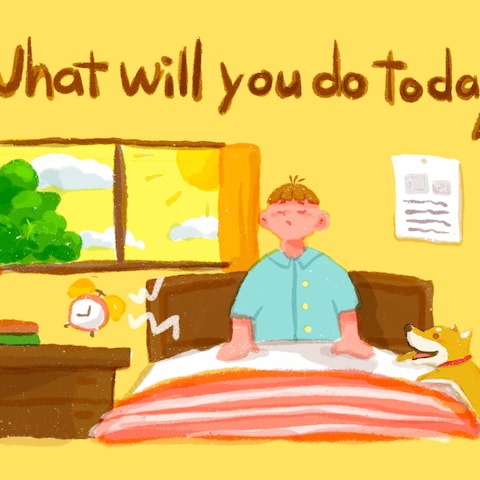 "What will you do today"