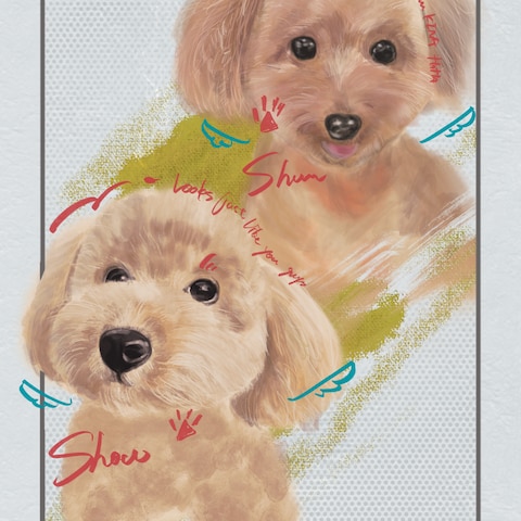 Shun&Show