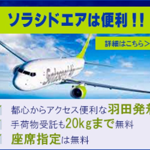 航空会社のバナー画像
