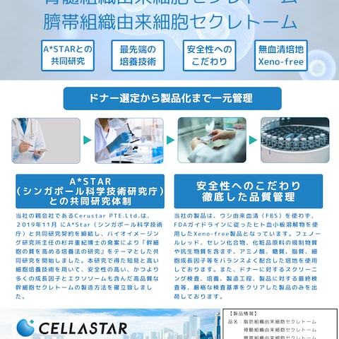 セクレトームチラシ
