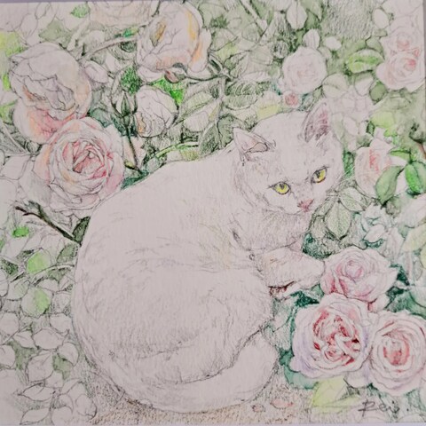 ロマンチックな薔薇に囲まれた白猫さん