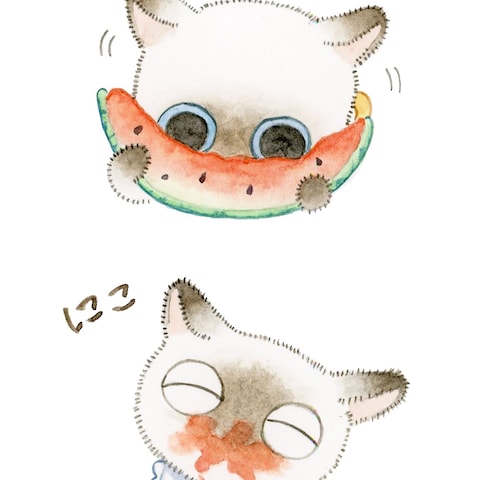 飼い猫ゆずちゃんスイカを食べる