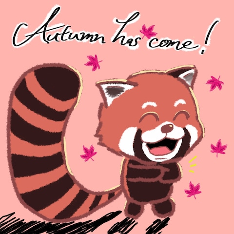 秋のレッサーパンダ