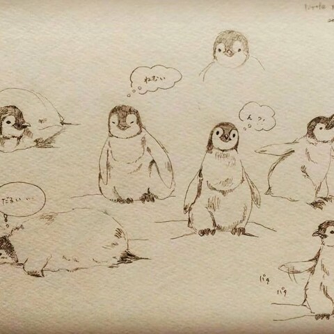 ひなペンギン