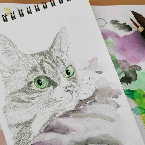 愛猫のイラスト