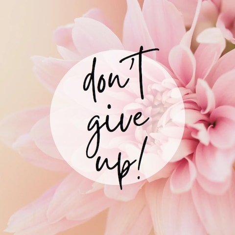 don't give up!