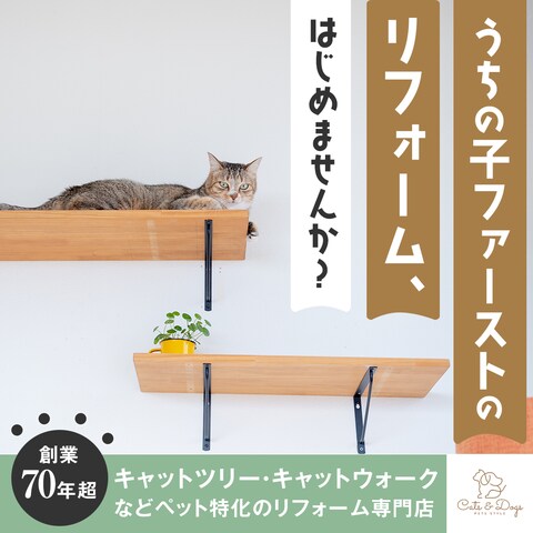 ペット特化のリフォーム専門店のバナー　猫編