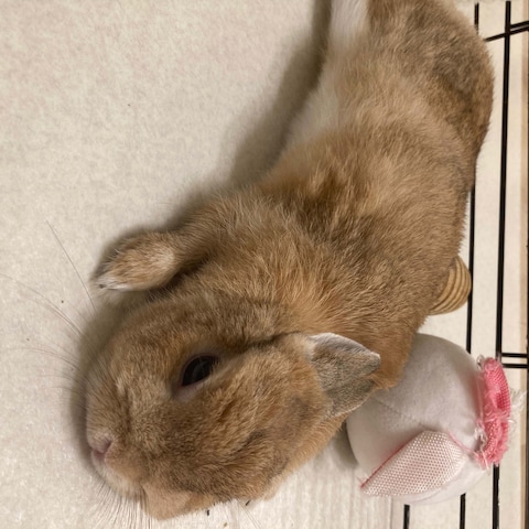 何でも相談に乗ります。