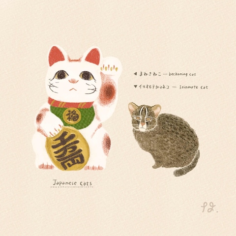 色鉛筆イラスト