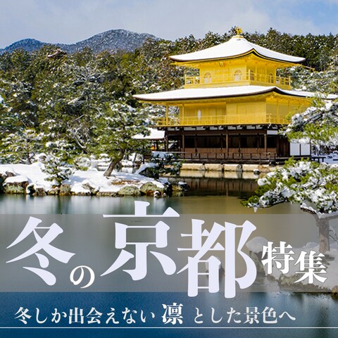 旅行会社の京都特集バナー