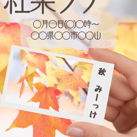 紅葉ツアーの告知デザイン