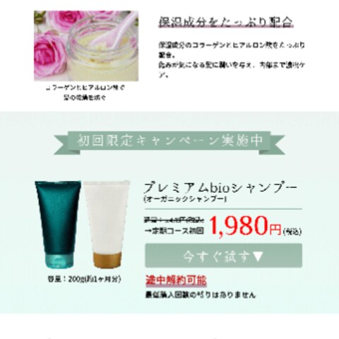 美容品の LP