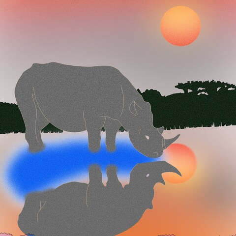 Twilight rhinoceros