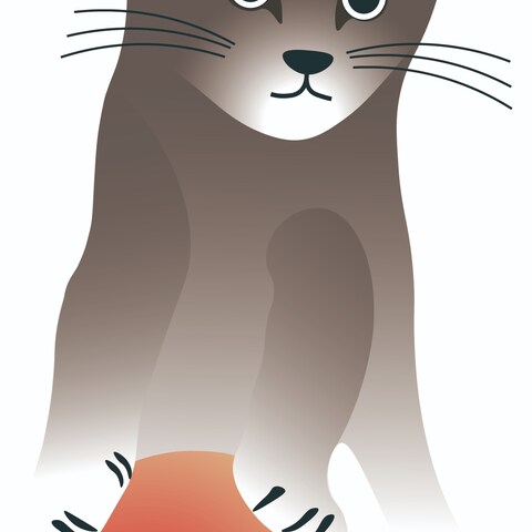 ねこともも