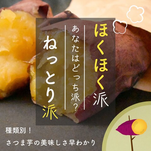 焼き芋種類別紹介(SNS用スライドデザイン)