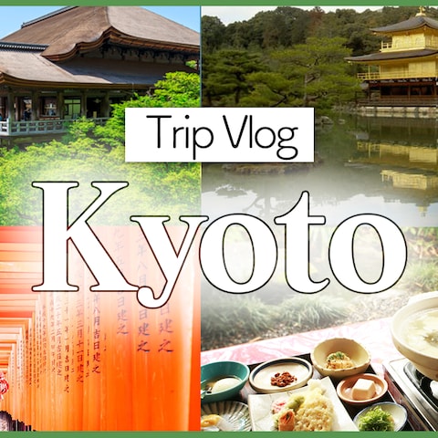 Vlog