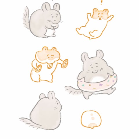 チンチラさんとゴールデンハムちゃん