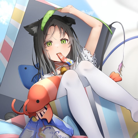 きまぐれ箱猫