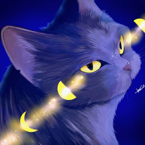 Moon Eye