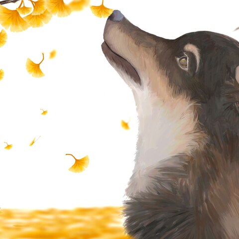 秋の便り、今年はまだ先だね。