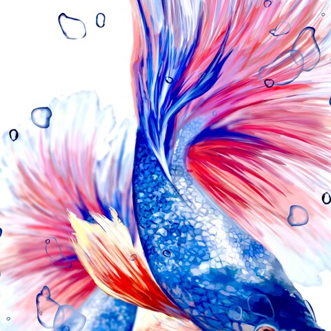 大輪