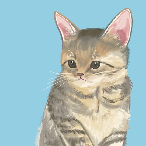 猫のイラスト制作