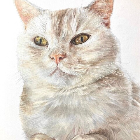 色鉛筆似顔絵 B5サイズ