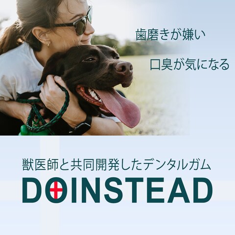 犬のデンタルガム