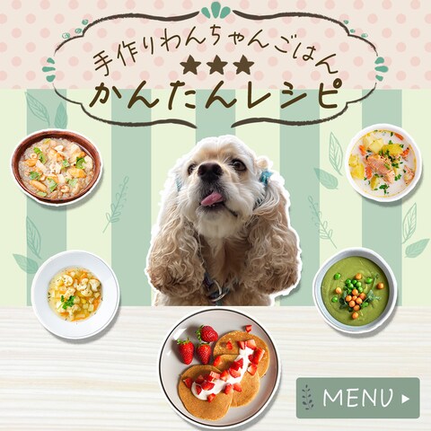 わんちゃんごはんレシピ