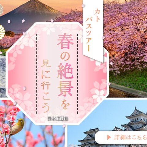 株式会社日本デザインでの広告バナー制作