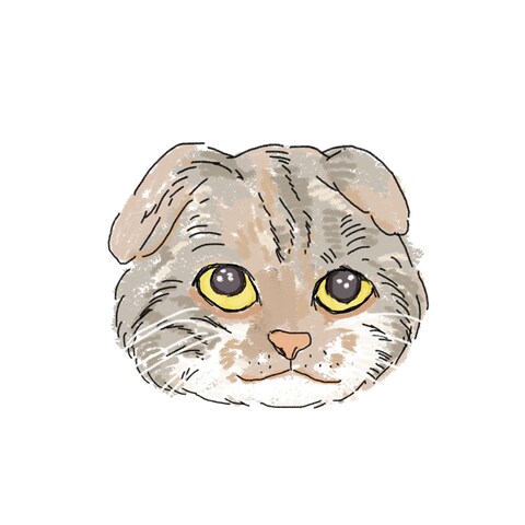 スコティッシュ