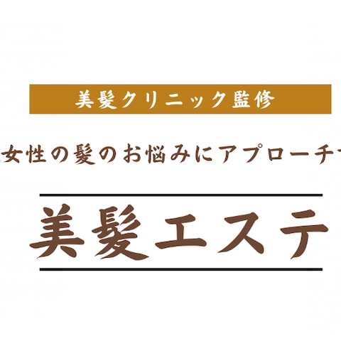 LP（ランディングページ）