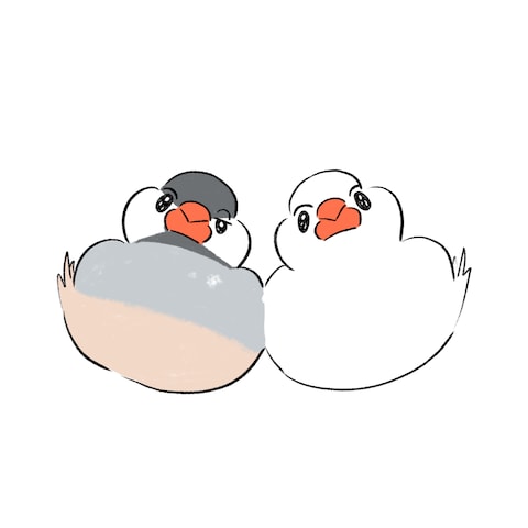 なかよし文鳥