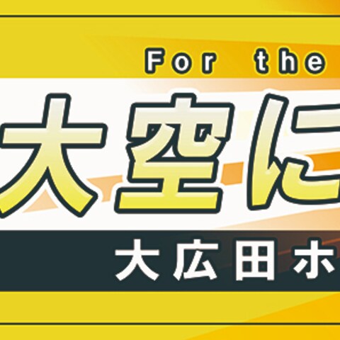 少年野球チームの応援旗のデザイン