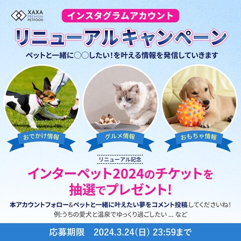 Instagramアカウントリニューアルキャンペーン