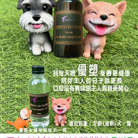 チラシ作成