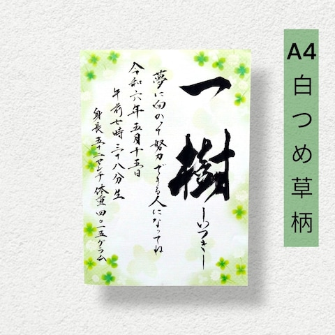 白つめ草柄の命名書