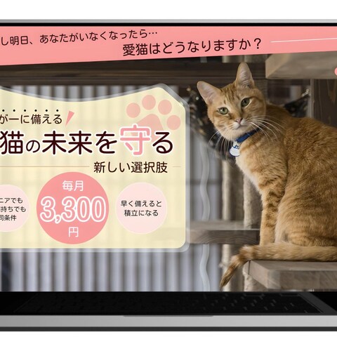 愛猫たすけあい制度を運営 事業者様のホームページ制作