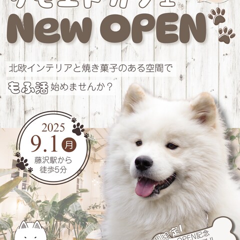 新オープンサモエドカフェのチラシ