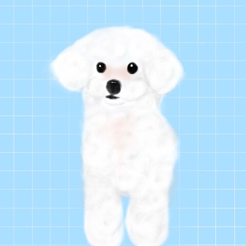 イラストデザイン